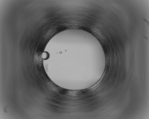 X0000091340190200708311504