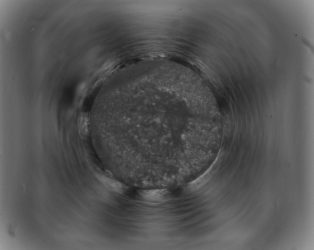 X0000091340191200708311504