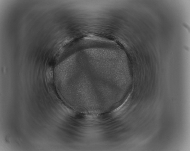 X0000091340192200708311504