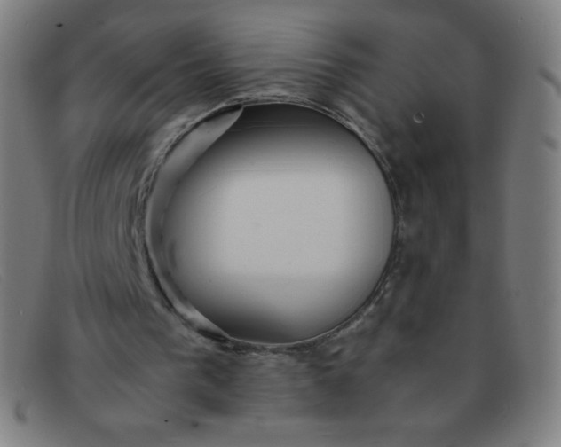 X0000091340193200708311503