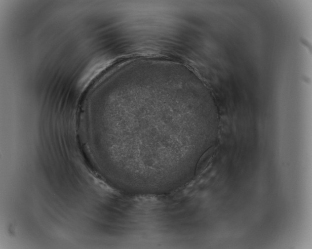 X0000091340194200708311503