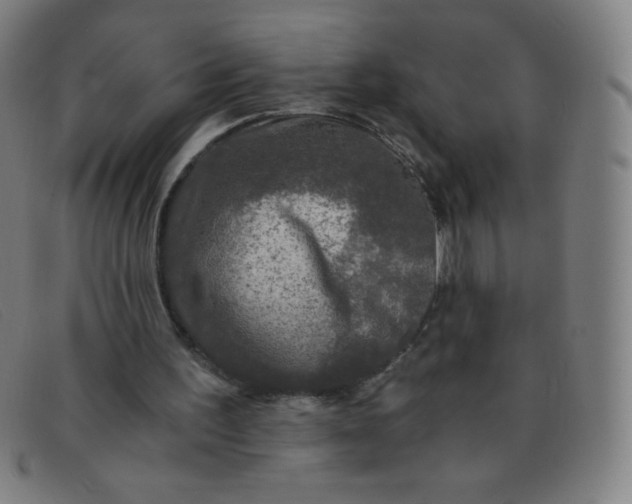 X0000091340195200708311503