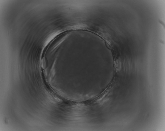 X0000091340196200708311503