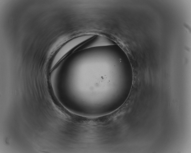 X0000091340197200708311503