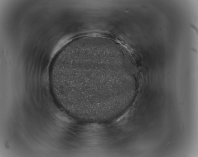 X0000091340198200708311503