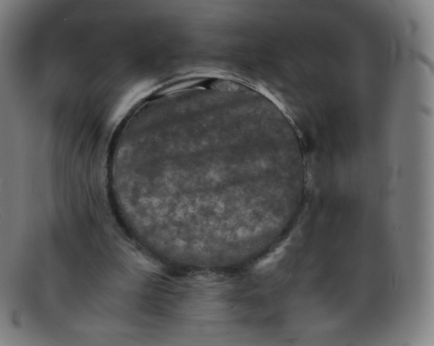 X0000091340199200708311503