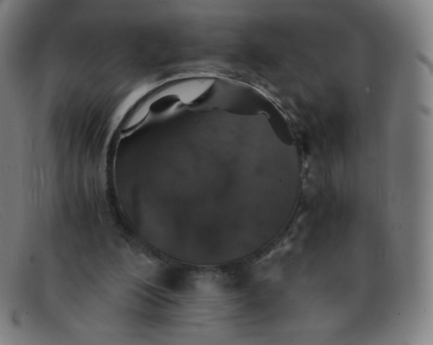 X0000091340200200708311503