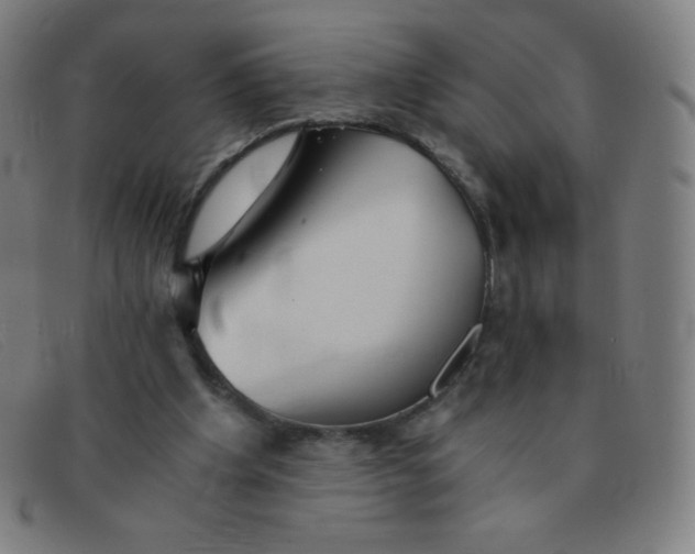 X0000091340201200708311503