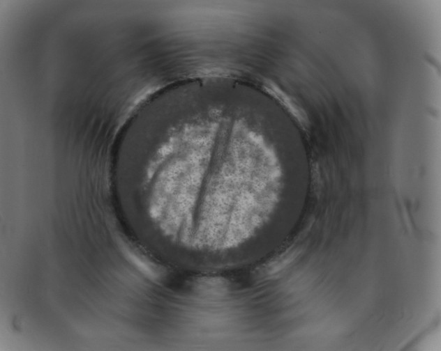 X0000091340203200708311503