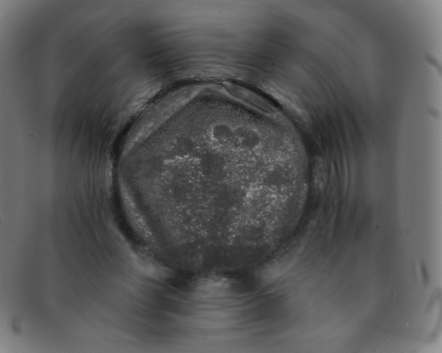 X0000091340206200708311503