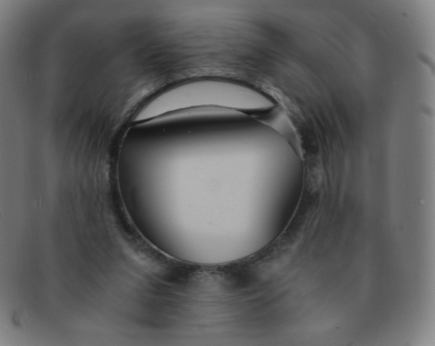 X0000091340207200708311503