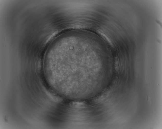 X0000091340208200708311503