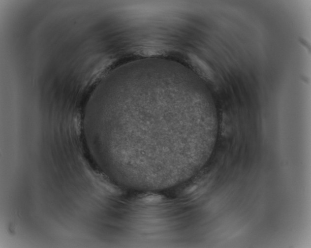 X0000091340210200708311503