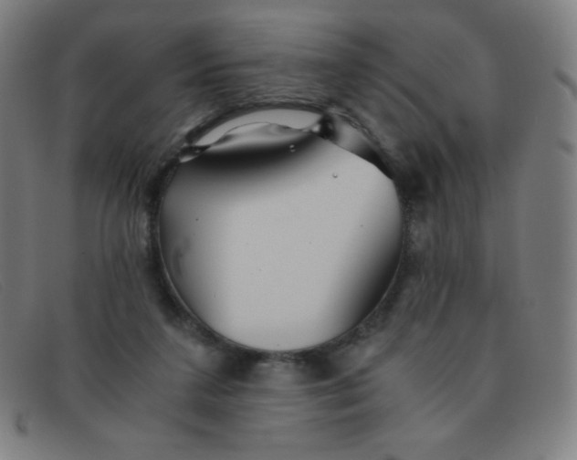 X0000091340211200708311503