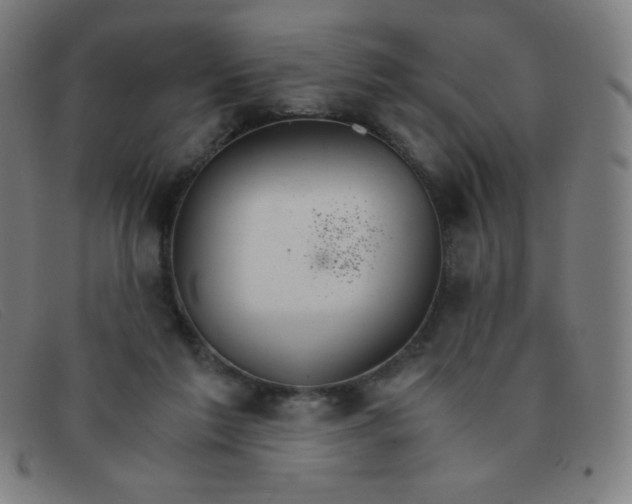 X0000091340213200708311503