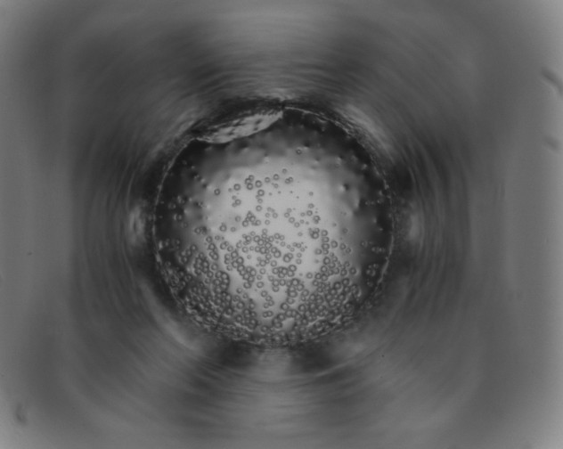 X0000091340214200708311503