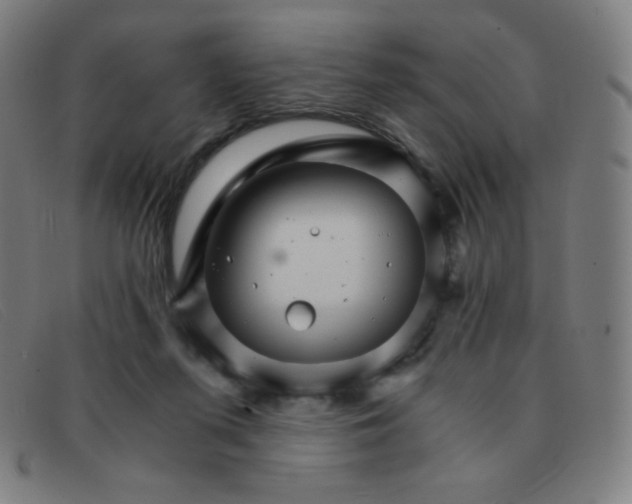 X0000091340215200708311503