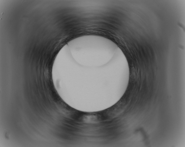 X0000091340220200708311503