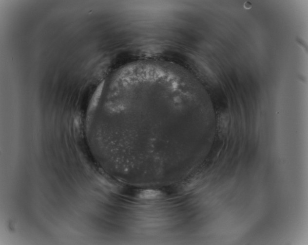 X0000091340222200708311503