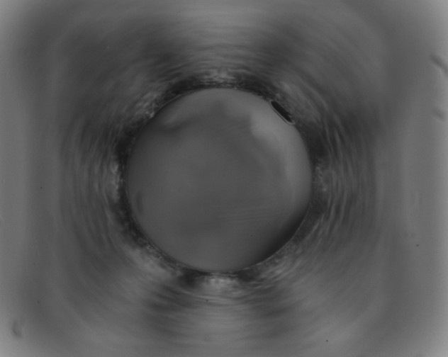 X0000091340223200708311503