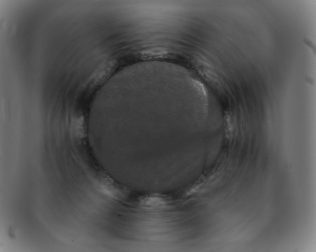 X0000091340224200708311503