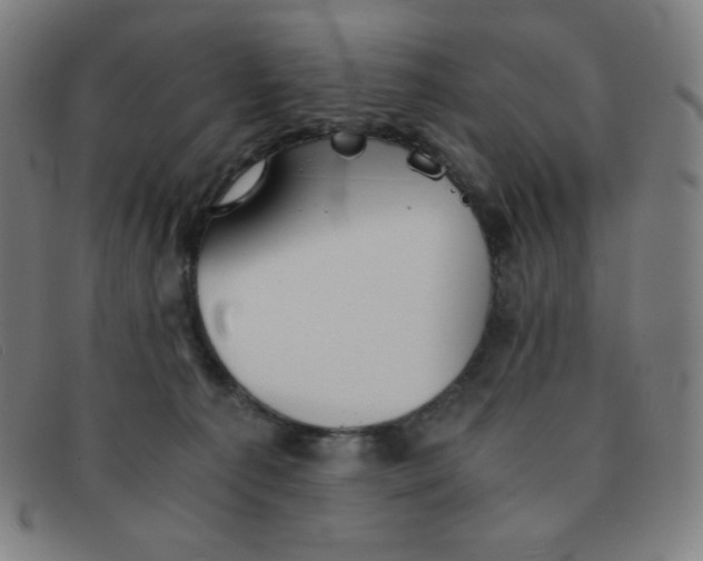 X0000091340225200708311503