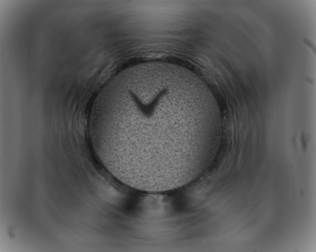 X0000091340227200708311503