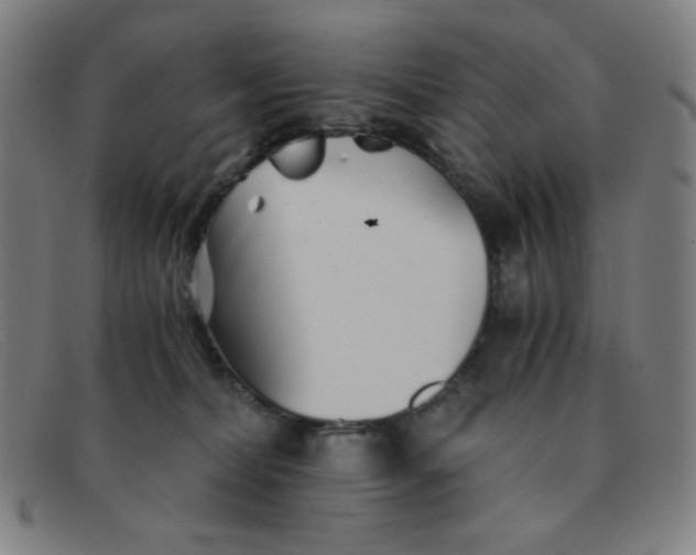 X0000091340228200708311503