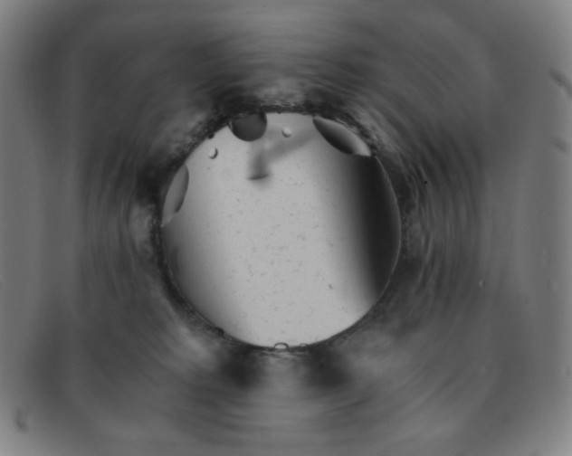 X0000091340229200708311503