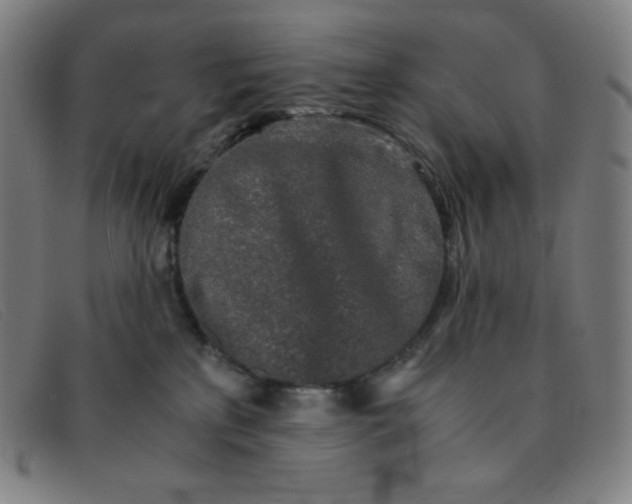 X0000091340233200708311502