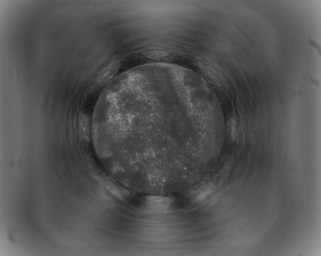 X0000091340234200708311502