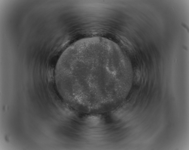 X0000091340236200708311502