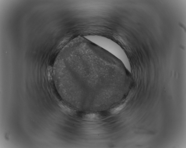 X0000091340237200708311502