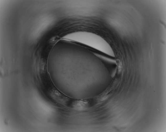 X0000091340239200708311502