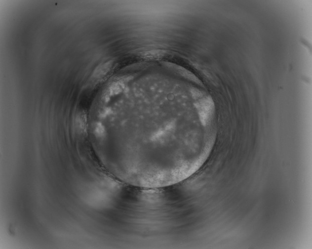 X0000091340240200708311502