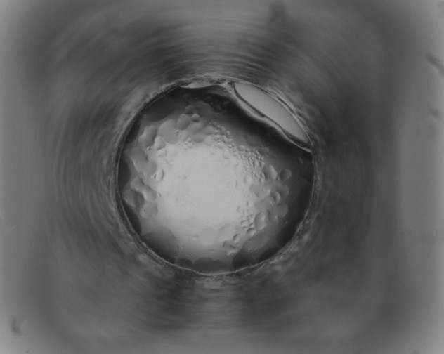 X0000091340241200708311502