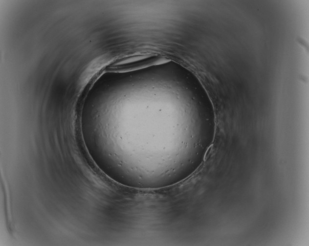 X0000091340242200708311502