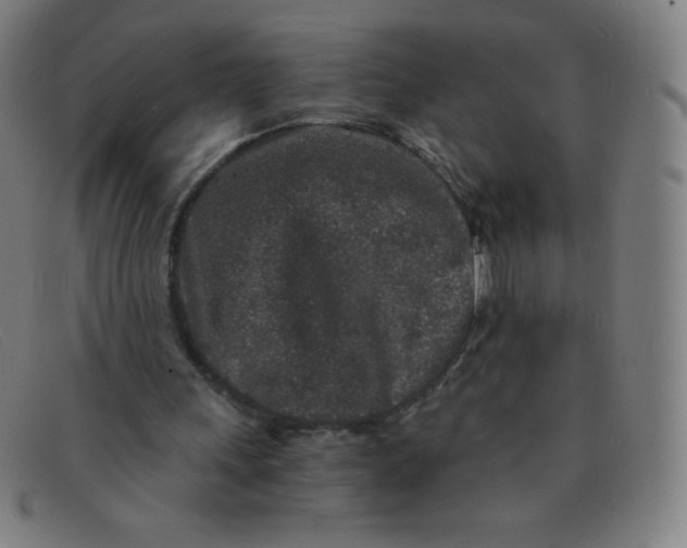 X0000091340243200708311502