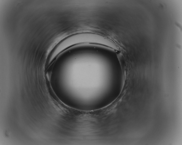 X0000091340244200708311502