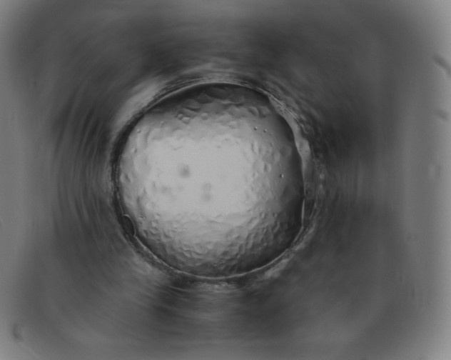 X0000091340245200708311502