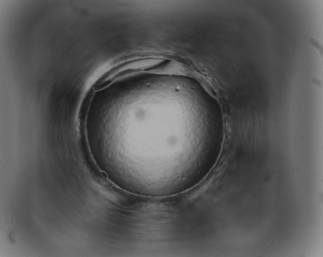 X0000091340246200708311502