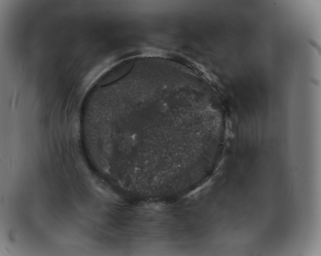 X0000091340247200708311502