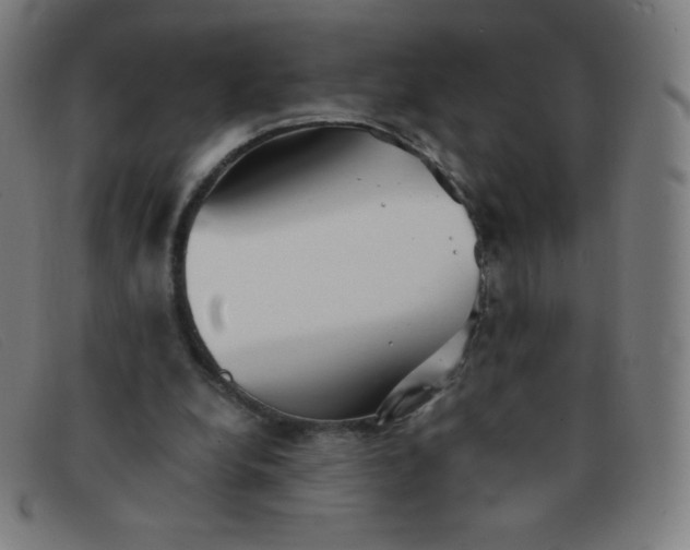 X0000091340248200708311502