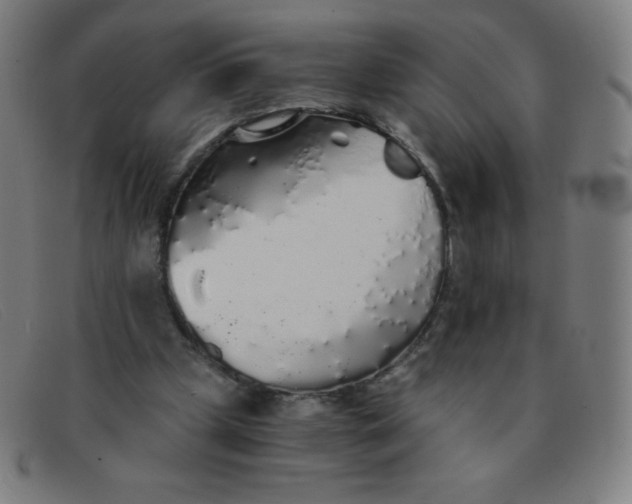 X0000091340249200708311502