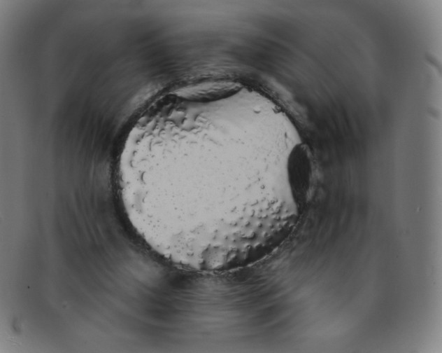 X0000091340250200708311502