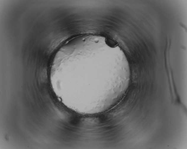 X0000091340251200708311502