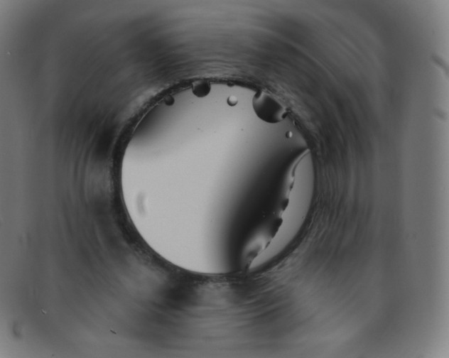 X0000091340252200708311502