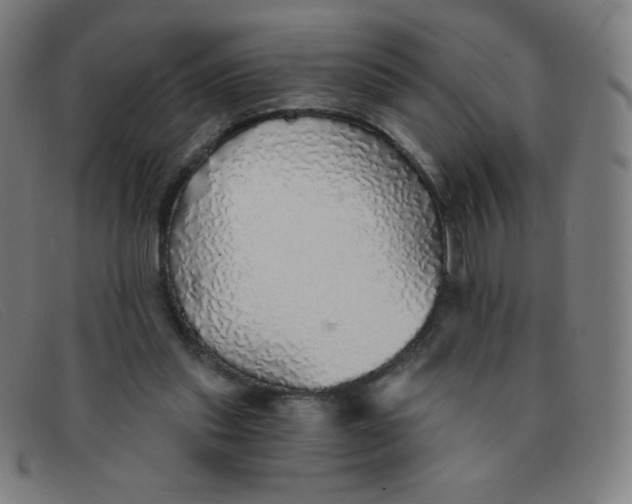 X0000091340253200708311502