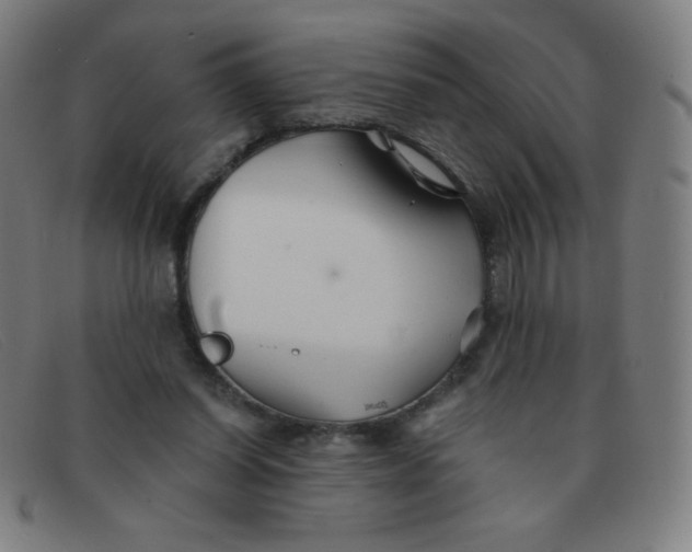 X0000091340254200708311502