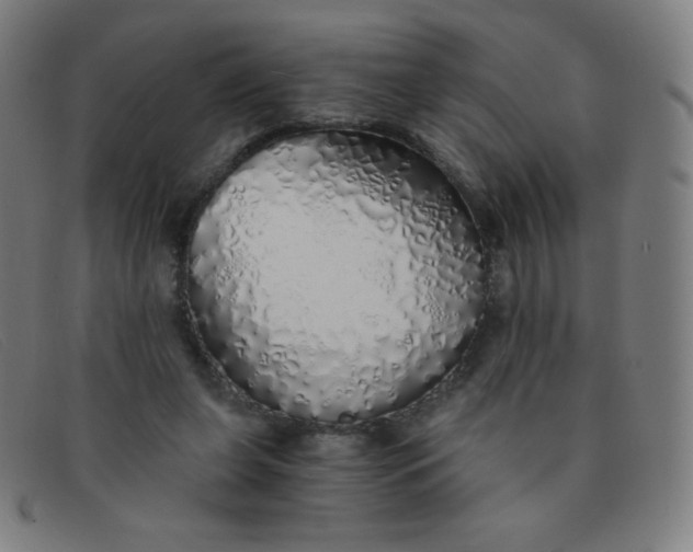 X0000091340255200708311502